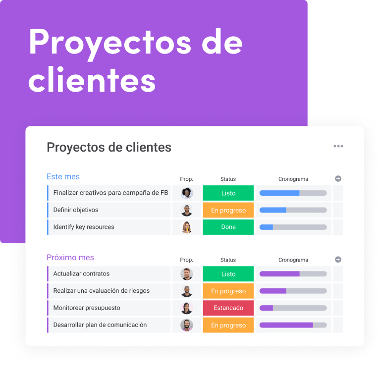 costumer projects crm